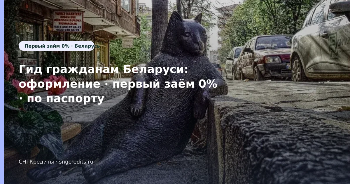 Первый заём 0% и по паспорту — инструкция гражданам Беларуси без гражданства РФ
