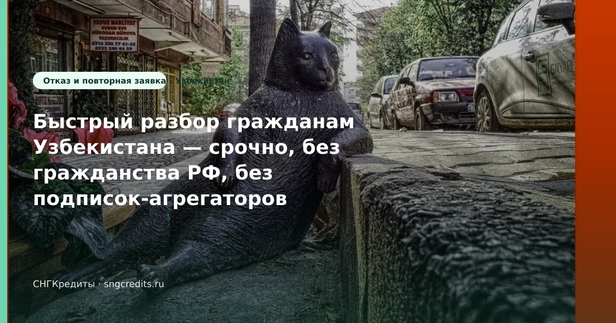 Гражданам Узбекистана: срочно без гражданства РФ — карта РФ без лишних отказов