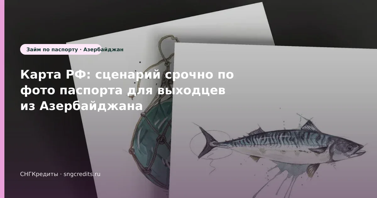 По фото паспорта и срочно: гид гражданам Азербайджана