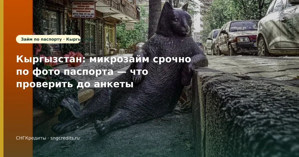 Заявка гражданам Кыргызстана по фото паспорта: срочно и типовые причины отказа
