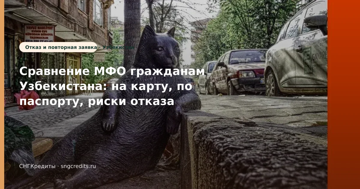 Оформление: сценарий на карту по паспорту для выходцев из Узбекистана